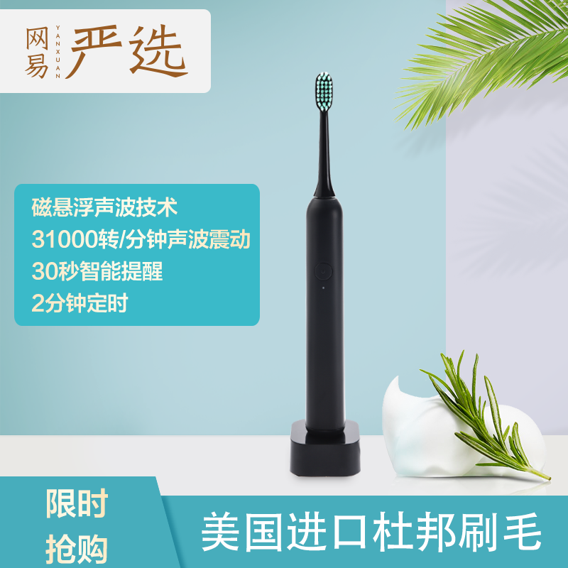 网易严选 日式和风声波式电动牙刷 成人男女通用充电式声波震动 31000转/分牙刷 静雅黑