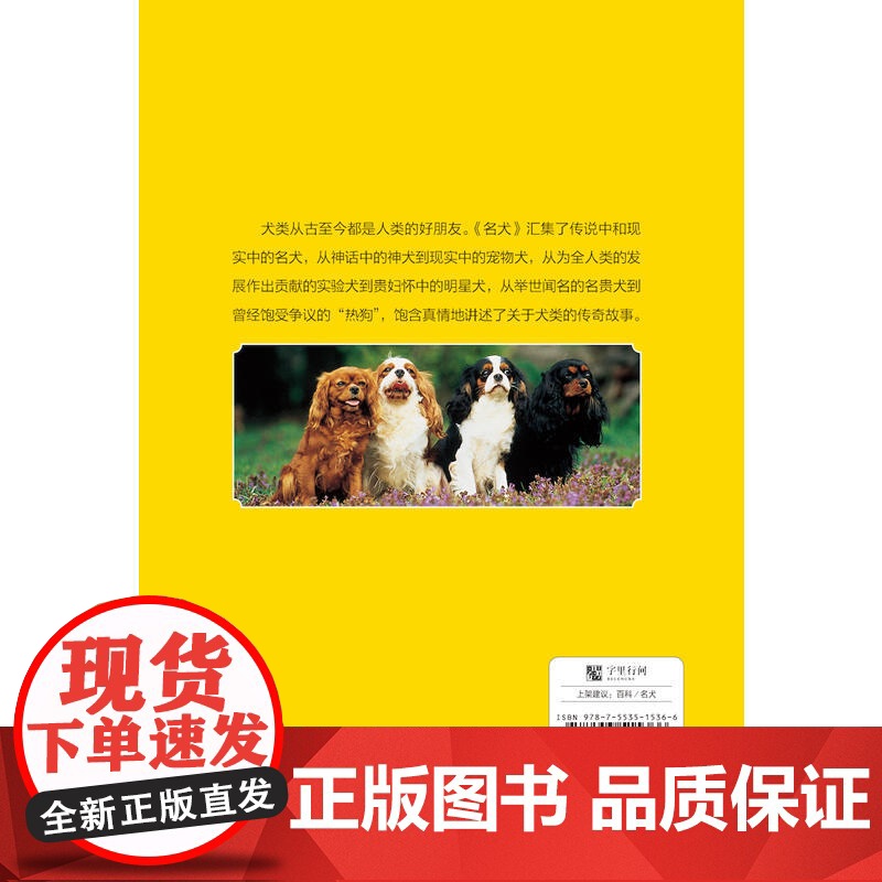 名犬高清大图