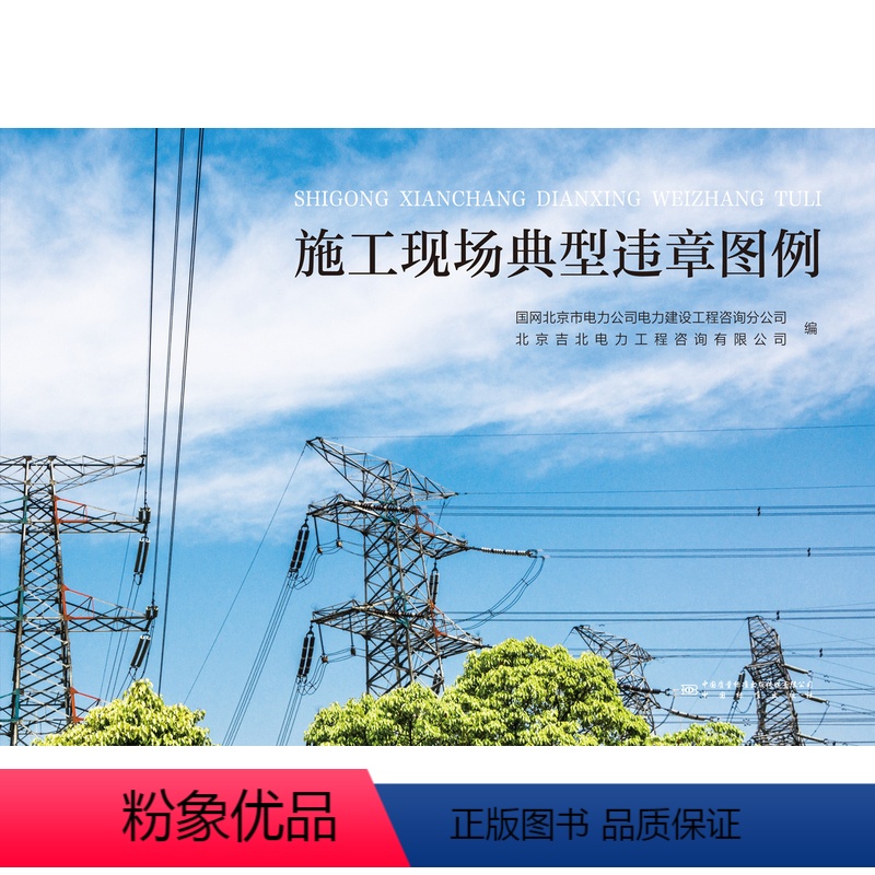 【正版】施工现场典型违章图例