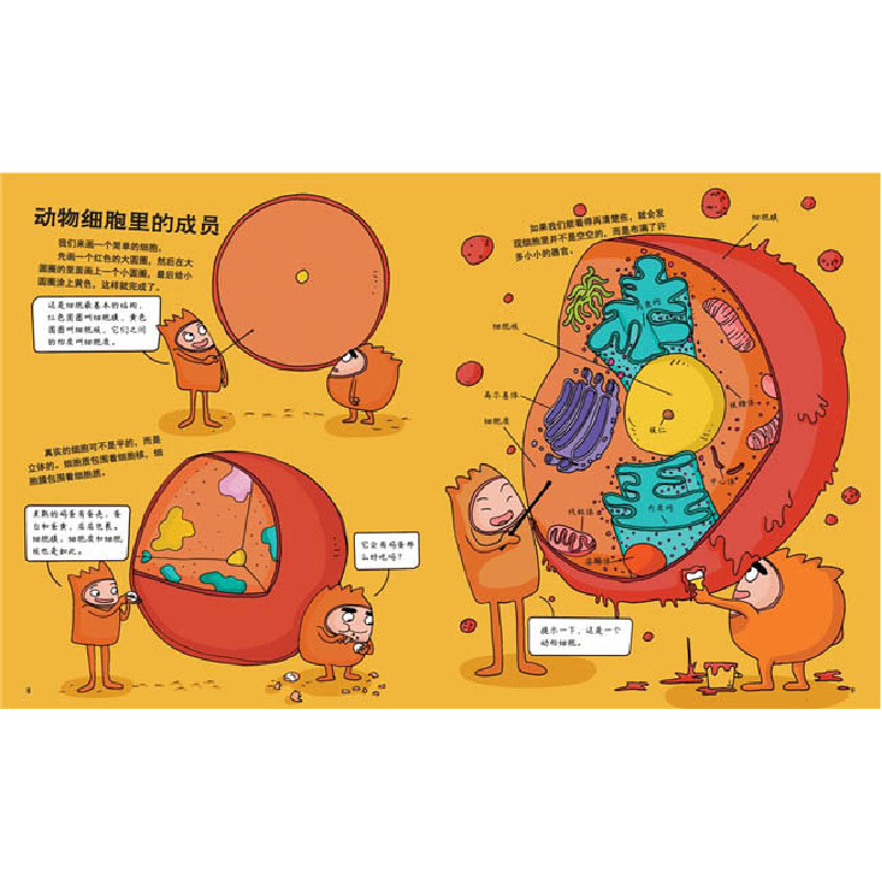 正版新书]疯狂的生物(全8册)洋洋兔 绘9787110102404高清大图