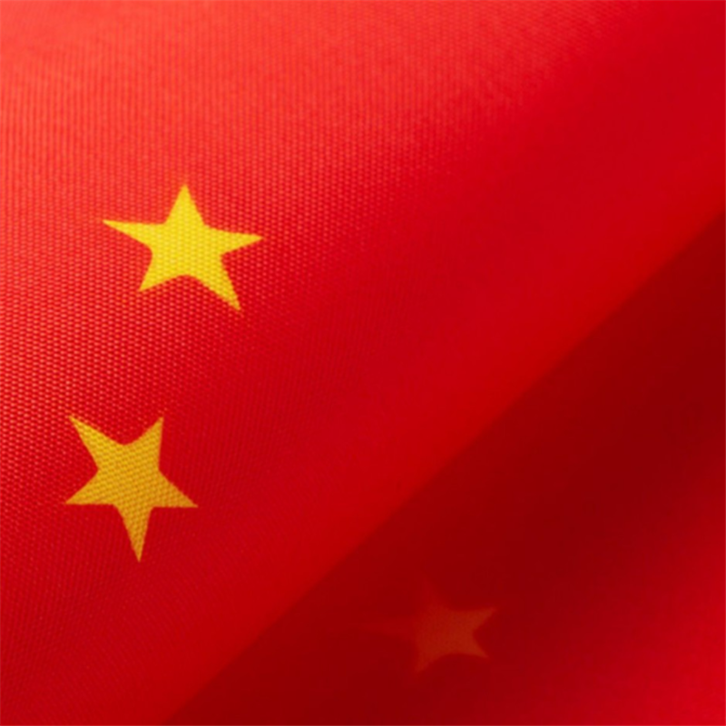 小guo旗手摇旗小红旗 五星红旗带杆手挥旗 30个