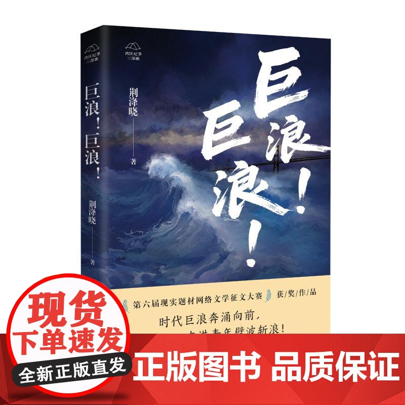 巨浪!巨浪! 荆洚晓 著 中国现当代文学 文学 花城出版社高清大图