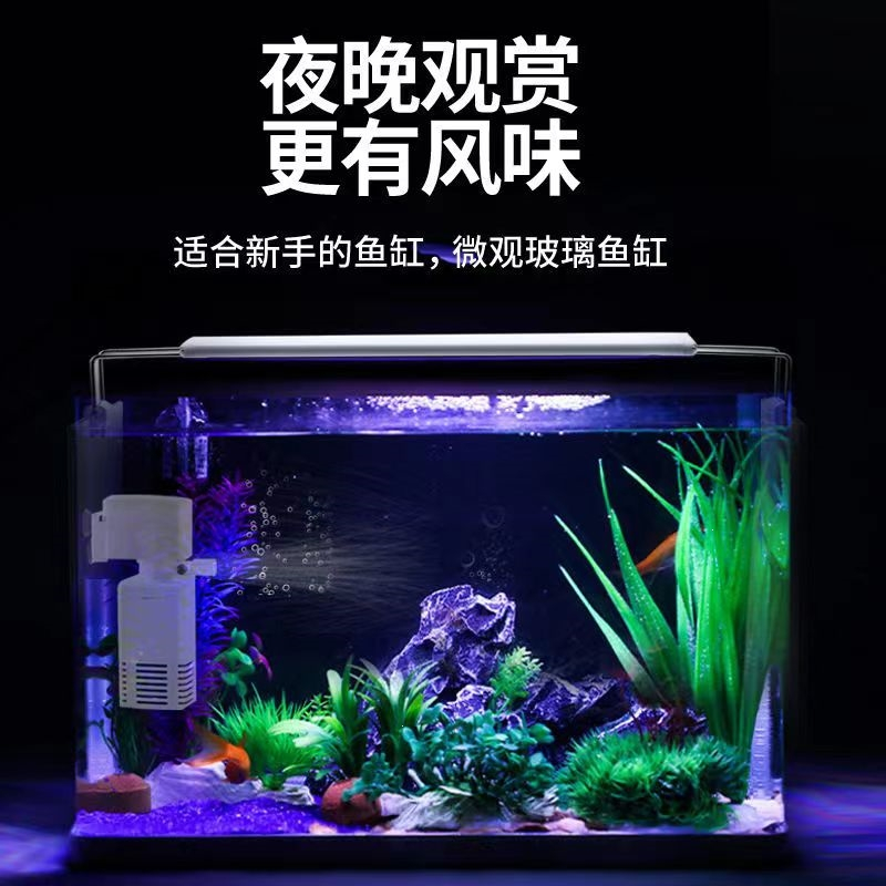 热弯玻璃鱼缸米妮客厅小型水族箱桌面家用金鱼斗鱼水草造景生态裸缸