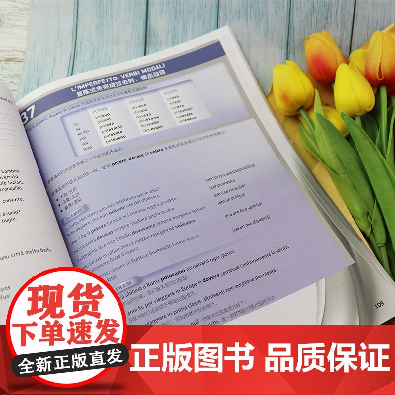 新视线全新意大利语初级语法1第一册A1-A2语法规则练习及参考答案第二版北京语言大学出版社意大利语自学语法教材书籍高清大图