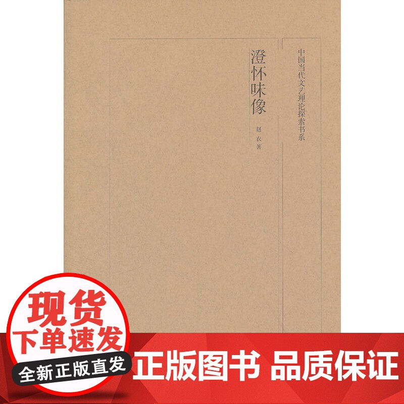 中国当代文艺理论探索书系 澄怀味像