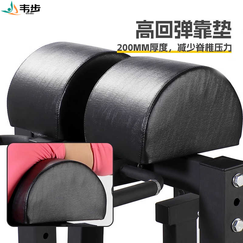韦步FW6230重型罗马椅山羊挺身商用仰卧起坐腰部腹肌背肌训练器材高清大图