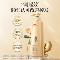 阿道夫 生姜防脱育发专研洗发水 防脱育发 500g