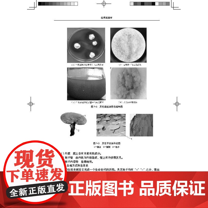 教材.应用真菌学中国轻工业十三五规划立项教材王德芝刘瑞芳主编出版年份2022年最新印刷2022年9月版次1最高印次1教材高清大图
