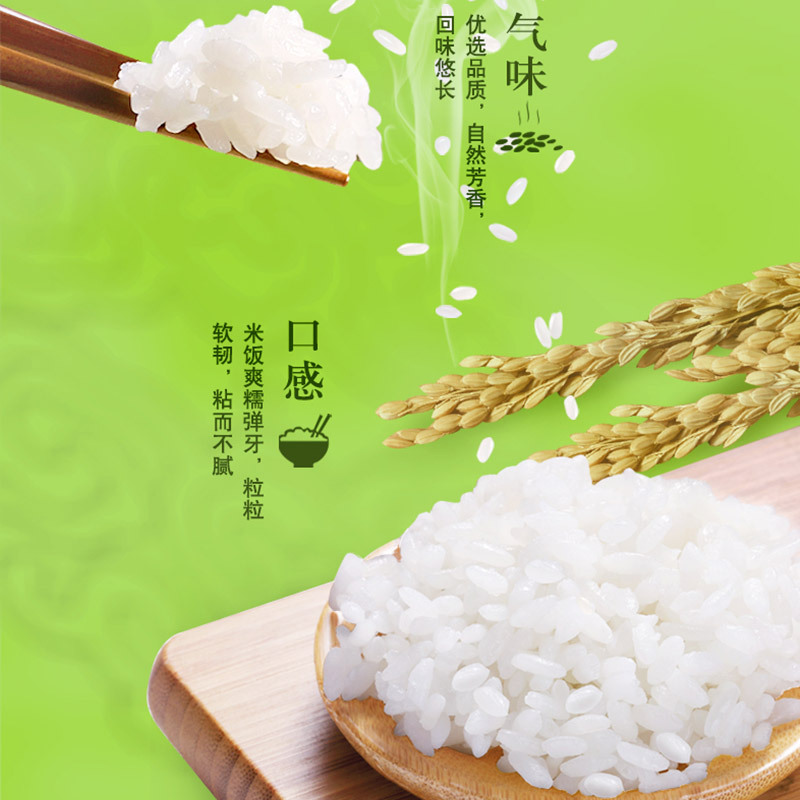 金龙鱼清香稻长粒香米500G