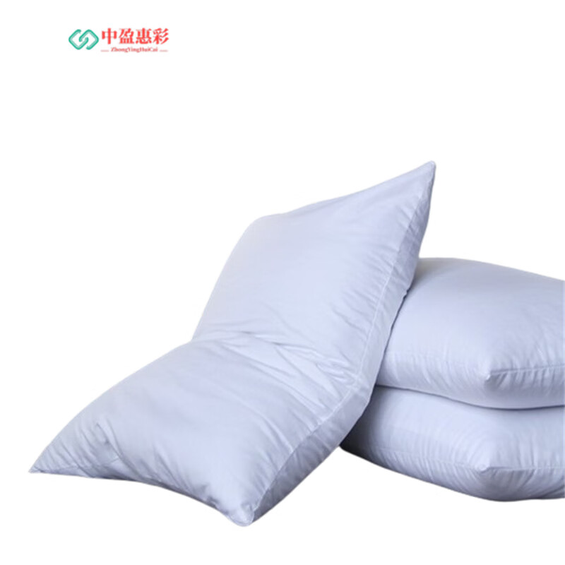 中盈惠彩 荞麦皮枕头 HC-ZT01 /个