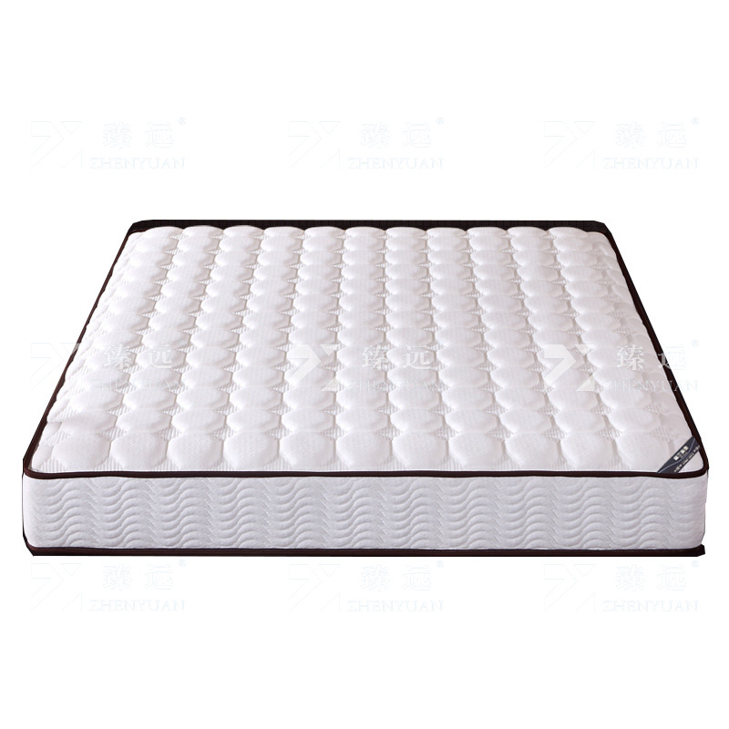 臻远 ZY-ML-H09203 弹簧床垫 1500*2000 白色
