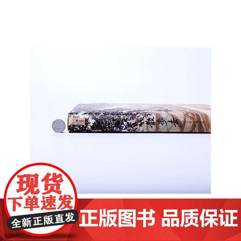 [央视网]散步去 在散步中发现生活HL高清大图