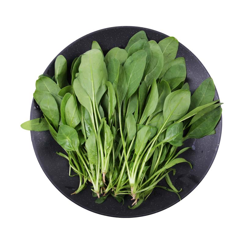 绿庄园菠菜苗约200g