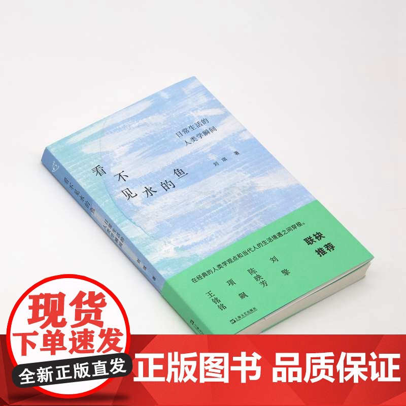 看不见水的鱼:日常生活的人类学瞬间 9787532192717 上海文艺出版社 刘琪 2025--05高清大图