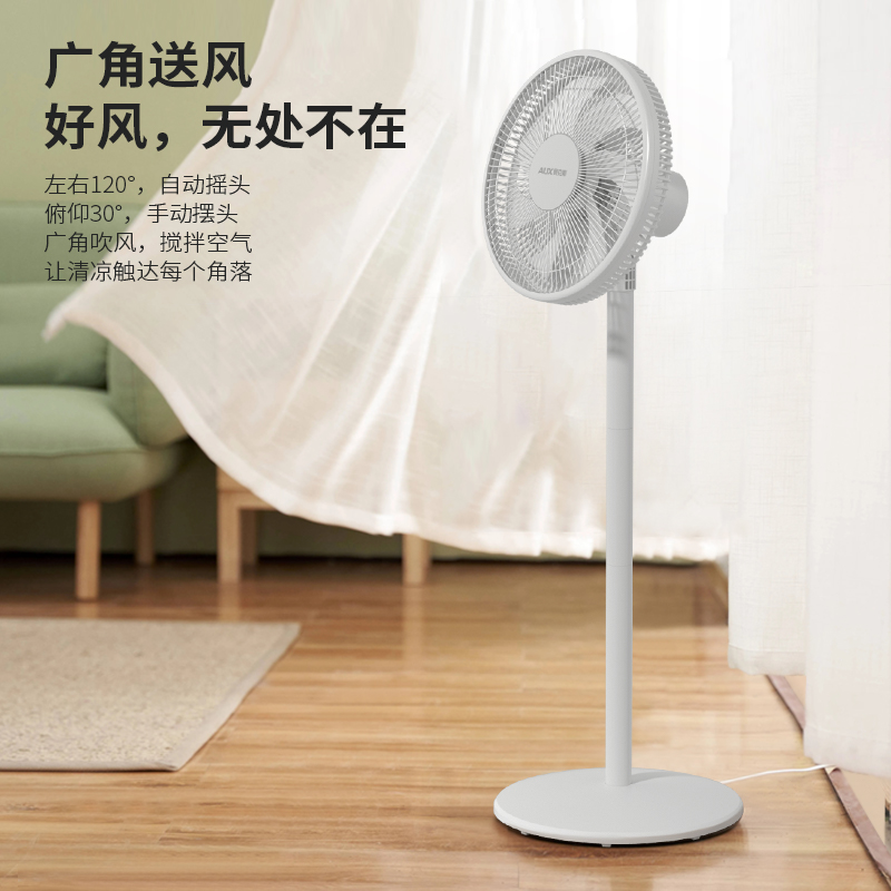 奥克斯FS-JH-004A平面扇高清大图