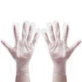 茶花一次性PE手套