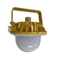 光大特照 EBF605LQ(WB)LED 220V 48W IP66 抗震防爆平台灯(微波感应型)(计价单位:盏)黄色