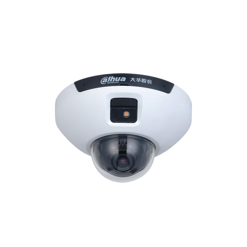 大华DH-IPC-HDPW4443C-PV-DTF半球智能摄像头400万POE电瓶车电梯检测双光夜视高清大图