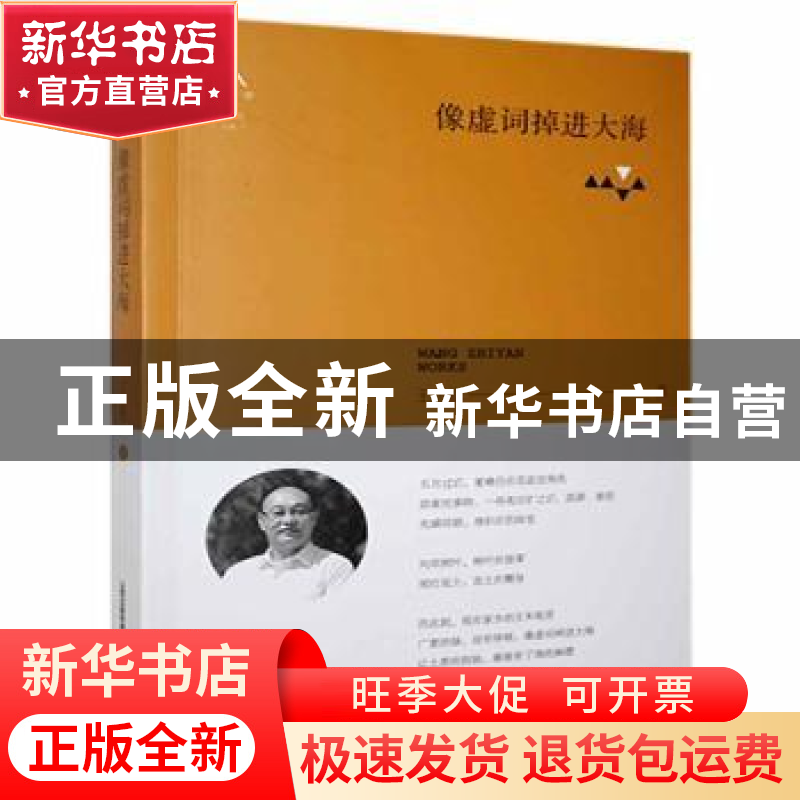 正版 像虚词掉进大海 王志彦著 北岳文艺出版社 9787537855433 书