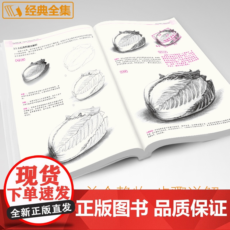 素描零基础自学入门教程材初学者简单动物临摹范本铅笔手绘sh高清大图