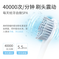 蓝韵 电动牙刷成人家用震动充电式 自动超声波软毛牙刷情侣款 配洁面刷头二合一 白色
