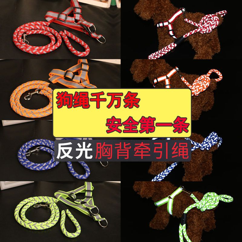 反光橙色扁绳[胸背带+狗绳+送铃铛] 小号[可调节适合3-9斤狗狗] 反光牵引绳狗狗小中大型犬遛狗链子胸背带项圈泰迪狗狗