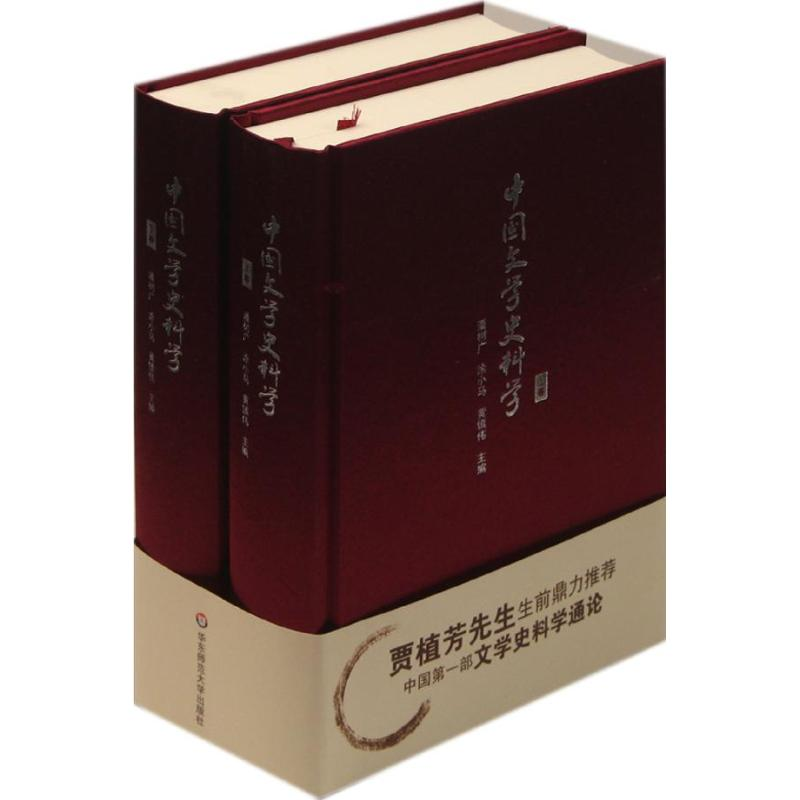 [M]中国文学史料学(上下卷)-9787561788233高清大图