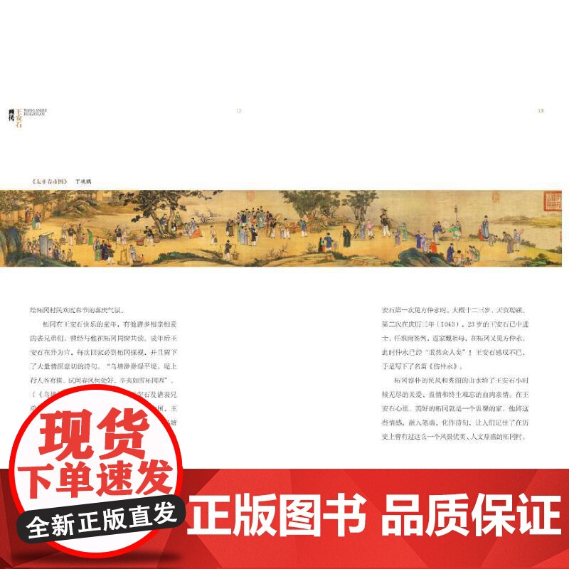 王安石画传 朱虹 江西美术出版社 正版书籍高清大图