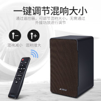 Sansui/山水 H6家庭ktv音响套装专业卡包音箱全套卡拉ok家用k歌家庭影院无线话筒麦克风(不带点歌机)