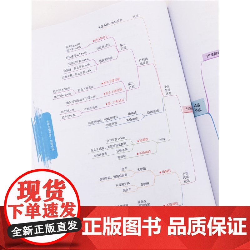临床执业 含助理 医师资格考试超级大脑之思维导图 思维导图式知识框架 高频考点核心考点攻略 真题盲点攻克 临床专业考试参高清大图