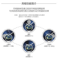 艾戈勒(agelocer)博世-月相系列品牌手表男全自动机械表 男全景背透 80小时长动能 潮流男腕表 A6401