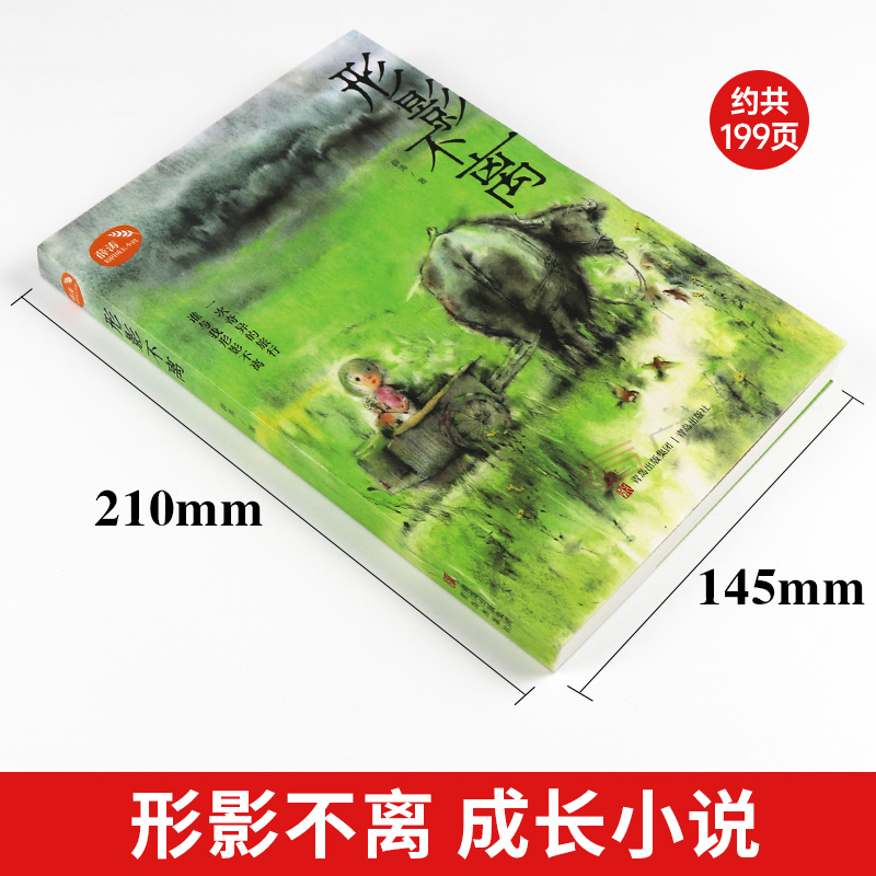 形影不离 [正版]形影不离青岛出版社薛涛稻田成长小说2023年广东朝阳读书四年级书香河南笔墨书香经典阅读小学生课外书高清大图