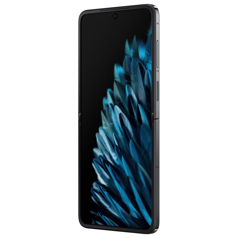OPPO Find N2 Flip 雅黑12GB+256GB 120Hz镜面折叠屏口袋折叠设计5000万