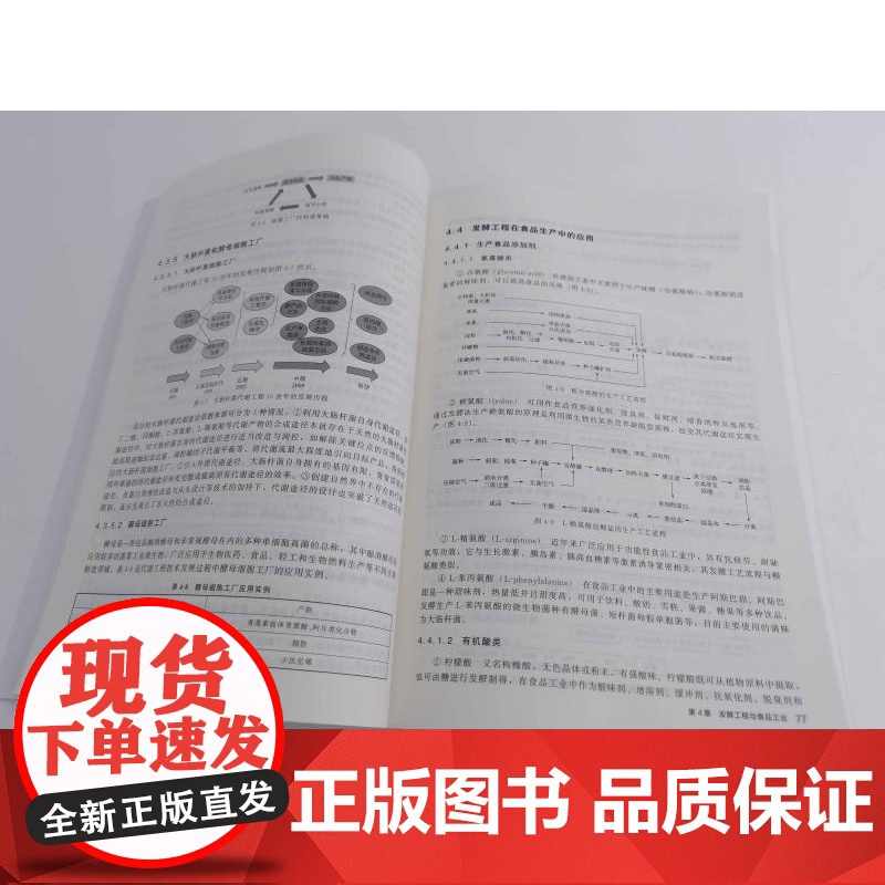 食品生物技术 乌日娜 十四五普通高等教育规划教材 基因工程酶工程发酵工程细胞工程蛋白质工程技术原理食品工业中应用参考高清大图