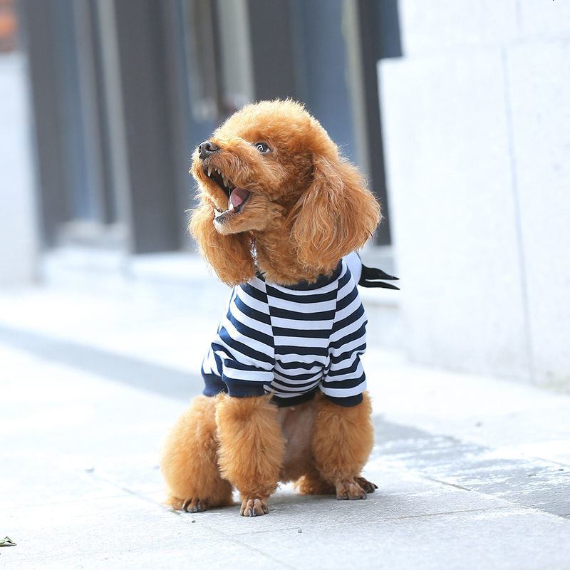 狗狗衣服泰迪夏装薄款比熊博美法斗小型幼犬夏季两脚宠物夏天t恤