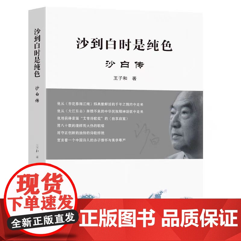 正版 沙到白时是纯色 沙白传王子和著 东南大学出版社 9787576616446高清大图
