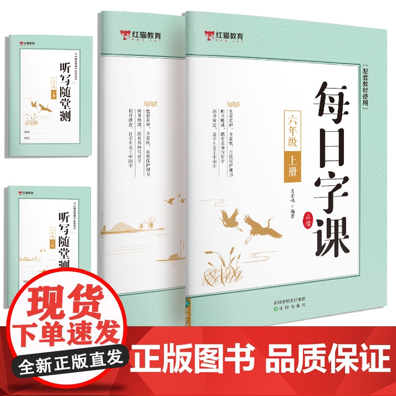 每日字课六年级上册+下册 听写随堂测[全2册] 正楷 可扫码听写描红本配套教材使用 小学生版五年级六年级正确书写笔顺高清大图