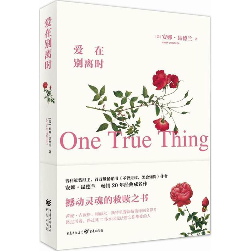 爱在别离时