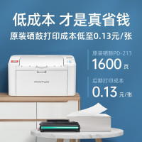 奔图 (PANTUM )P2206NW黑白激光打印机 WiFi连接 学生试卷打印 手机打印 作业打印 家用办公 官方标配
