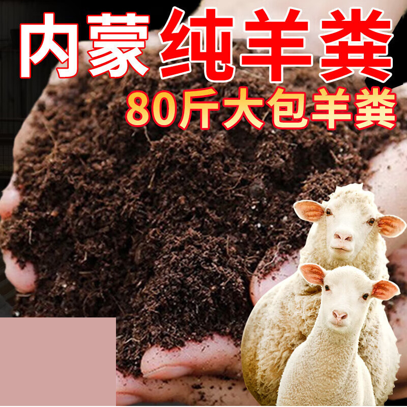 羊粪 散装高清大图