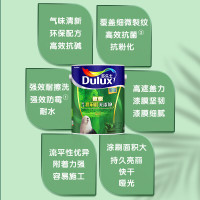 多乐士(Dulux) 致悦竹炭抗甲醛无添加全效内墙乳胶漆 墙面漆油漆涂料 A740+A748 套装15L