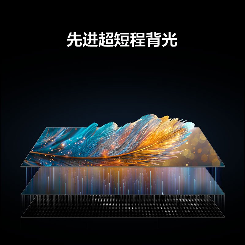 雷鸟鹏6SE 24款家电国家补贴电视机75英寸120Hz动态加速游戏智能液晶平板电视机75S365C-JN