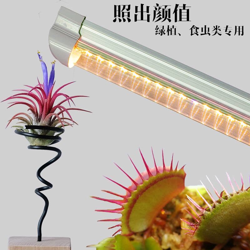 苏宁放心购 全光谱植物生长灯 多肉植物补光灯室内植物补光灯食虫草led花卉补光图片