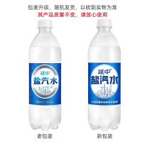 延中 盐汽水600ml*20瓶整箱装 碳酸饮料饮品咸味汽水