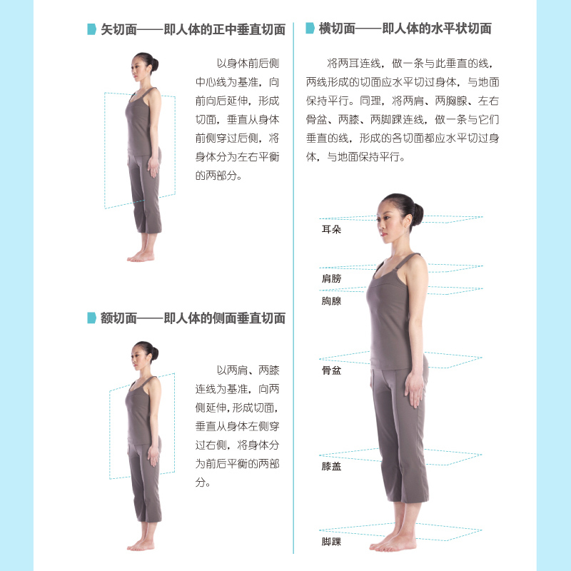 [正版] 瑜伽从新手到高手 普拉提训练全书初学者零基础减肥瘦身教程大全书 初级入门瑜伽塑身 阴瑜伽 普拉提书瑜伽 女性
