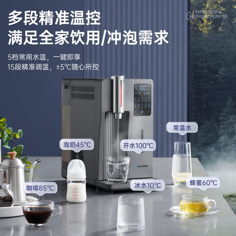 蓝宝(BLAUPUNKT)台式净水器加热直饮一体机净饮机即热饮水机家用即热式免安装 灰色 BP-WD02