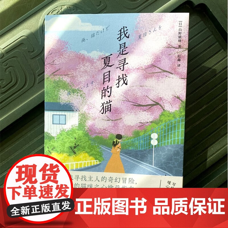 我是寻找夏目的猫 青鲤文库 白野猫咪 著 小说高清大图