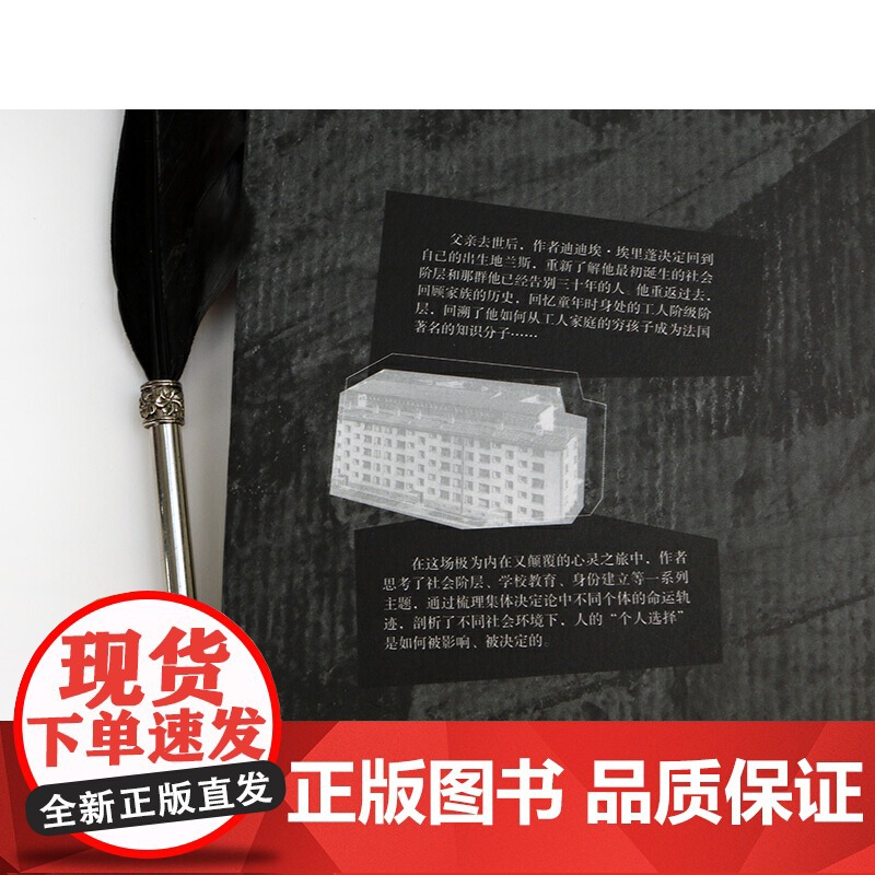 回归故里 迪迪埃·埃里蓬 上海文化出版社 后浪正版书籍高清大图