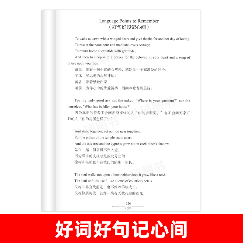 [正版]读名著 学英语 沙与沫 英汉双语读物 英语书籍名著 双语版英语名著 阅读课外读物 小学初中英语读物中英双语读物高清大图