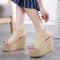 Crape myrtle2018夏秋季新款松糕跟凉鞋女韩版防水台内增高厚底高跟鞋鱼嘴坡跟鞋